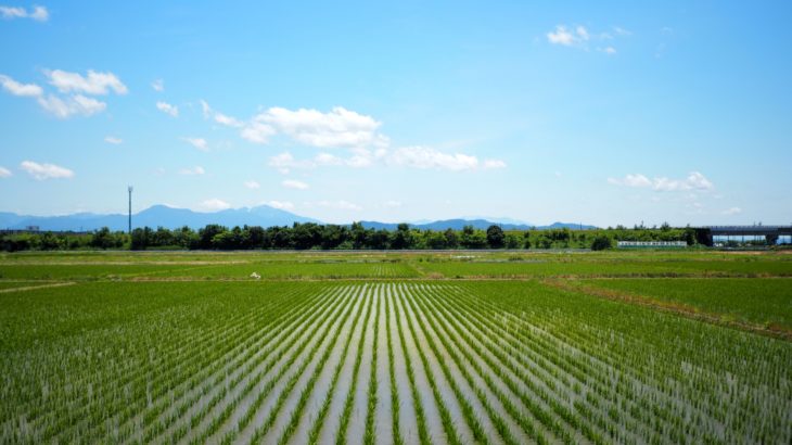 【移住資金】移住・住みかえ支援機構（JTI）の「マイホーム借上げ制度」活用事例（Uターンの場合）